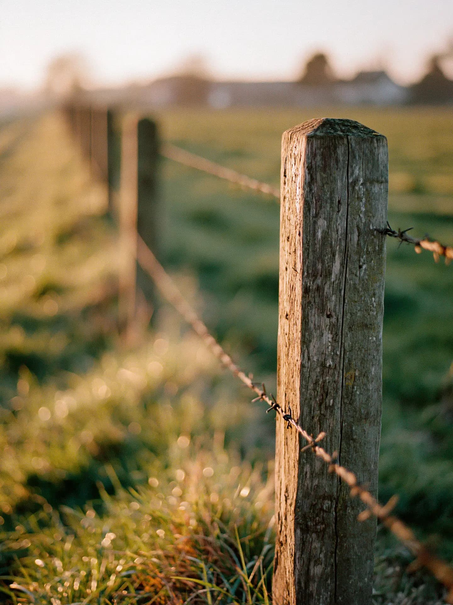 荷兰牧场木栅栏细节